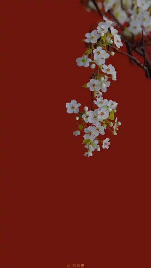 有没有什么微信聊天背景好看又不影响看消息的图片