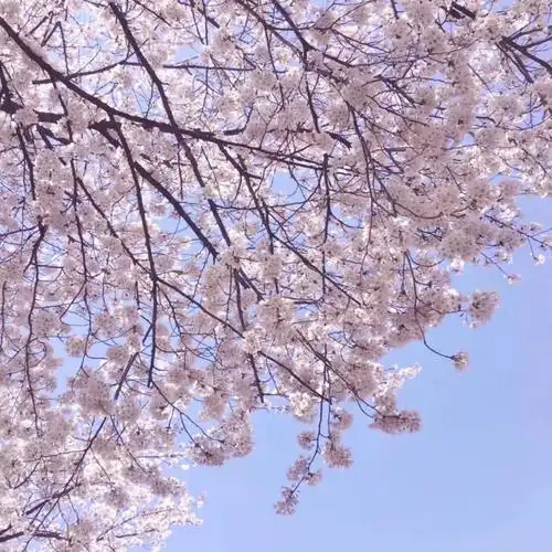 微信/qq朋友圈封面背景 风景/酷/正方形 自用