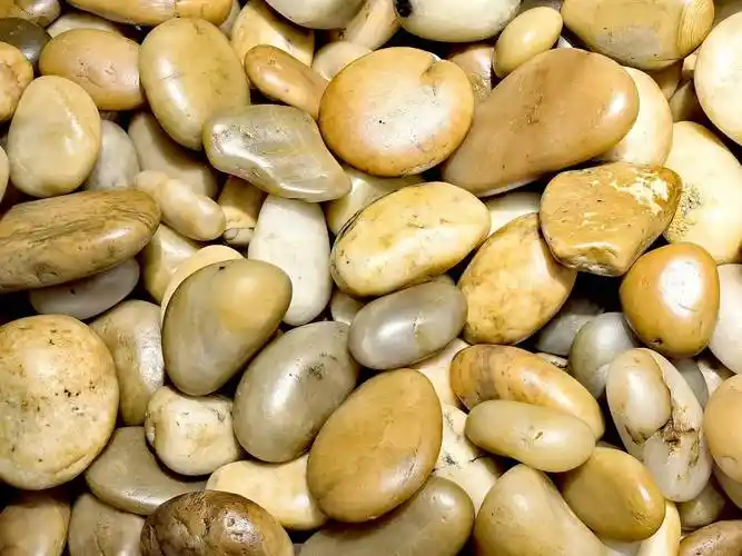 云南昆明一地路边现黄龙玉大块原石,玉石铺游道,或是最贵一条路