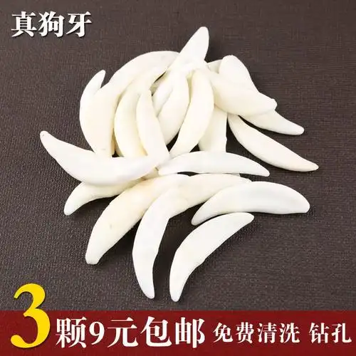 真黑狗牙齿狼牙项链吊坠 挂坠件护身符男女本命年辟邪转运微瑕疵 3颗