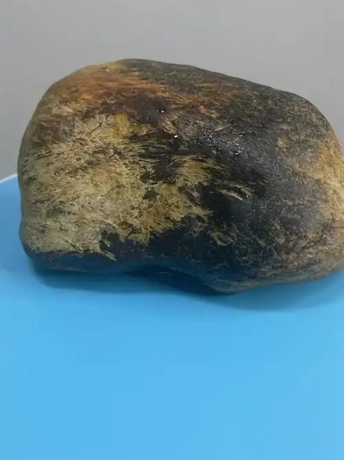 牛角冻红草花玉