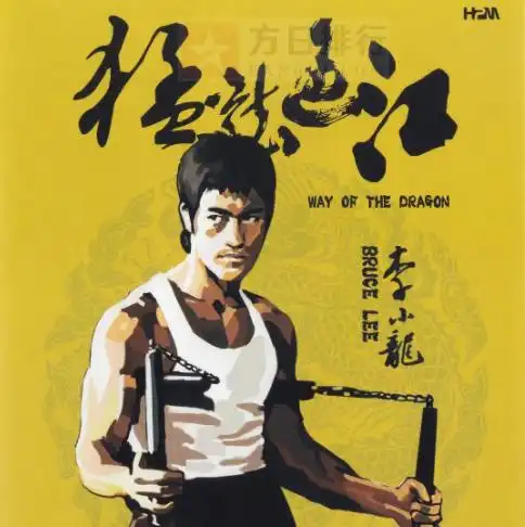 《猛龙过江》是由李小龙自编自导,李小龙,苗可秀,罗礼士,小麒麟等主演