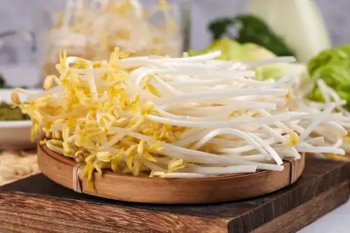 盘子里装着绿豆芽 绿豆芽