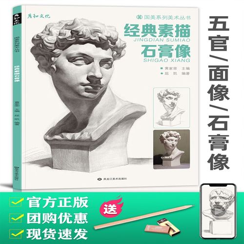 联考肖像画册画画入门照片精选书籍亚历山大伏尔泰小卫头骨教程写实