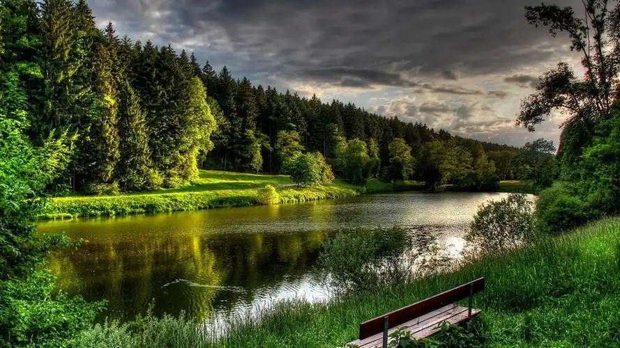 美丽的大自然风景图片高清桌面电脑壁纸美丽的绿色草原风景壁纸月光下