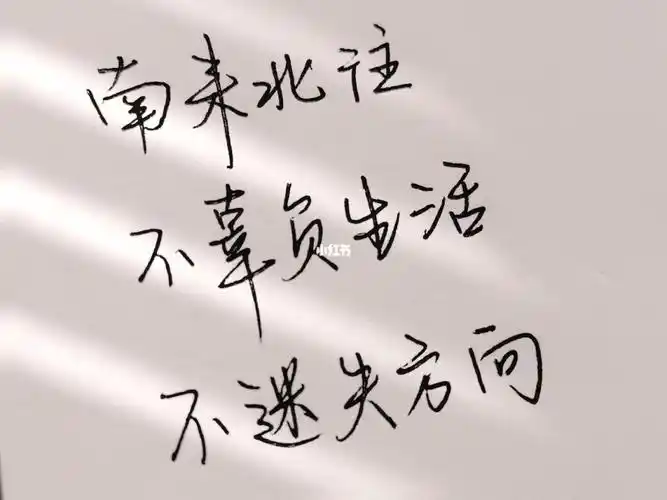 手写|写字|练字|文字95"南来北往,不辜负生活,不迷失方向.