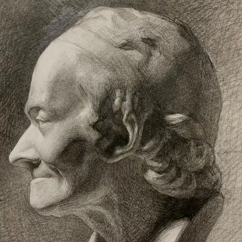 《伏尔泰》 材料:康颂素描纸,14b,老人头橡皮,宣纸纸笔.