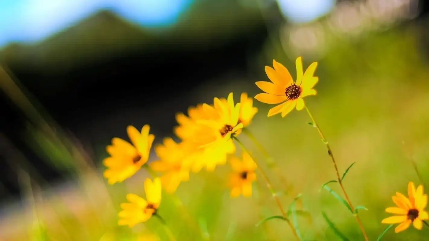 三本心理学入门书籍,帮你读懂人心,看懂人性,成年人都看看