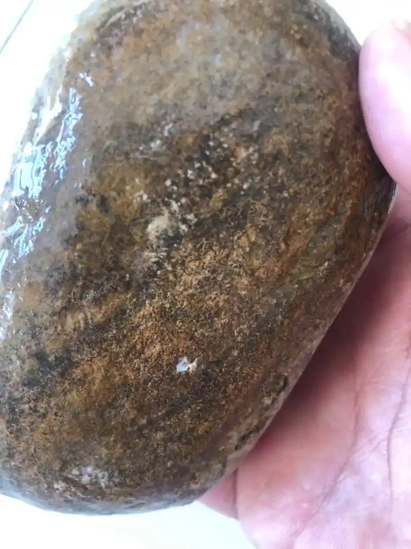 纯天然和田玉石包玉羊脂白玉原石,石皮里面.包着羊脂白玉石质, - 抖音