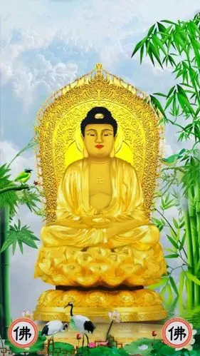 佛祖保佑,天下每个人都健康长寿,无病无灾