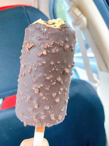 从小吃到大的雪糕,一如既往的好吃 小学时夏天下午去上学路上就会买一