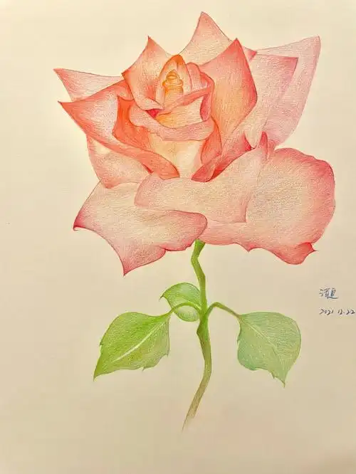 最近这次几次用的画纸是油性彩铅专用纸,之前一直都是素描本,最初买的