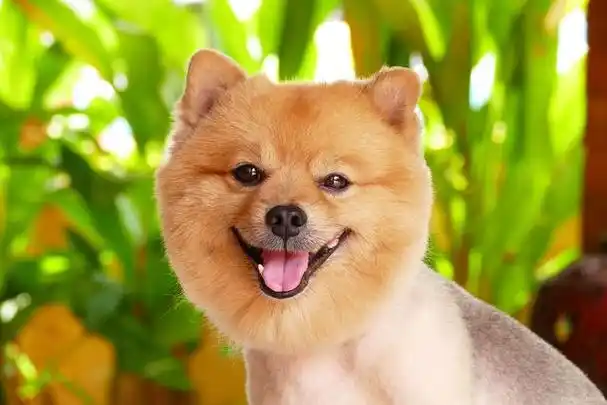 微笑:生活中最美的语言,你会不会诠释?