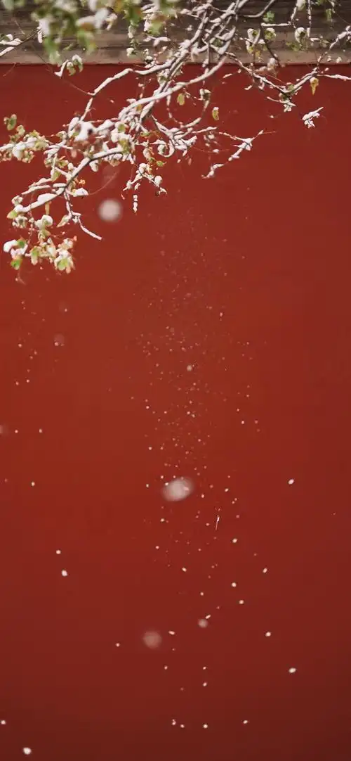 3月30日 14:19   关注  锁屏壁纸 手机壁纸 聊天背景