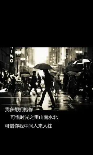 伤感的青春爱情文字图片 爱,注定伤害