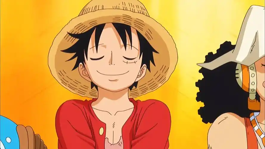 《航海王》全球人气角色投票揭晓,路飞顺利登顶!