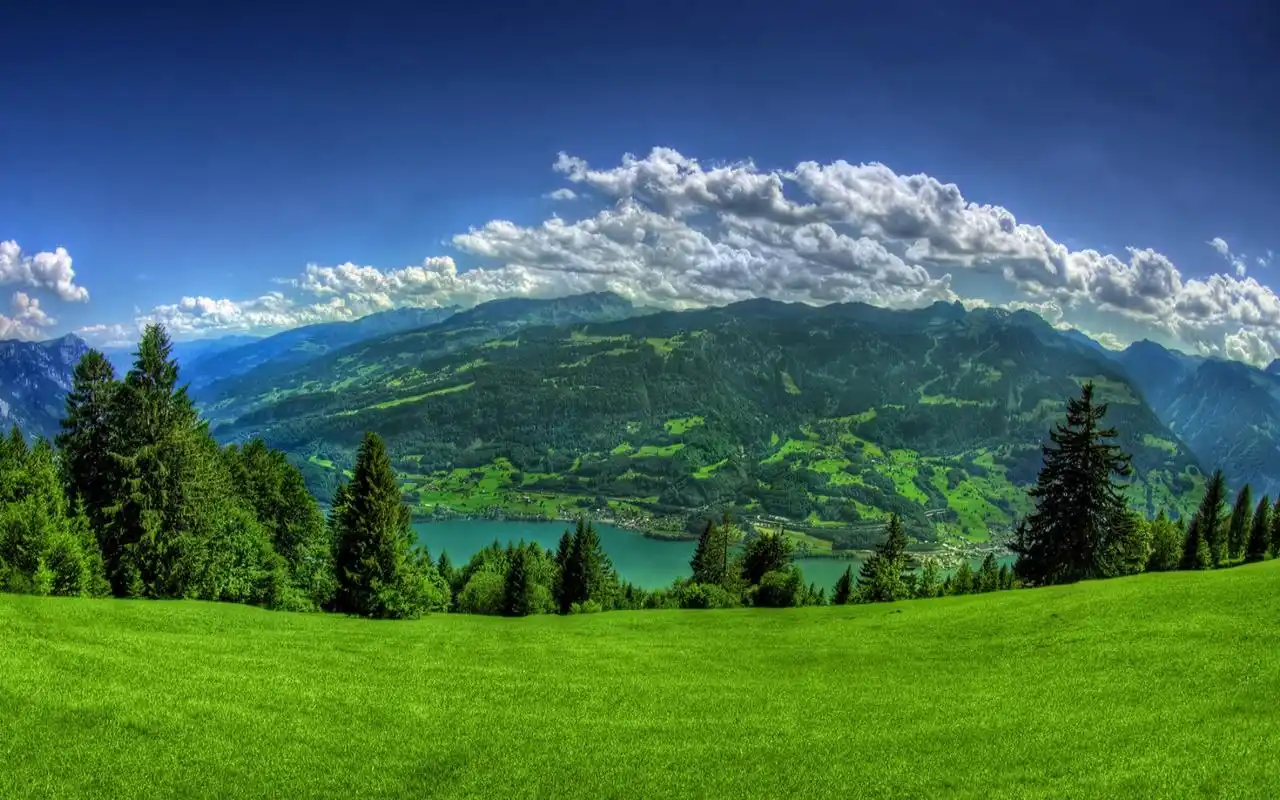 绿色护眼自然风光高清桌面壁纸高清大图预览1920x1080_风景壁纸下载