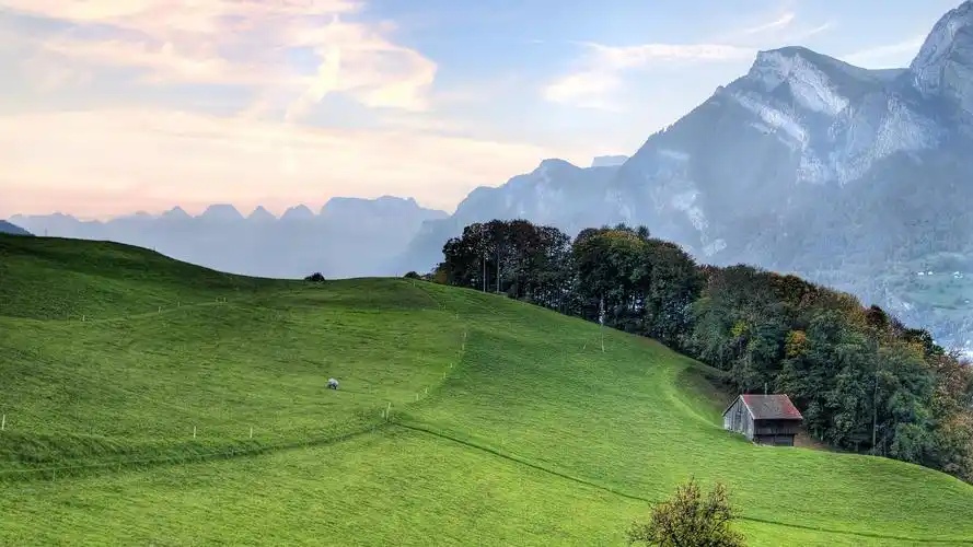 绿色护眼自然风光,草原,清新,护眼,秋意,天空,高清壁纸,桌面图片-壁纸