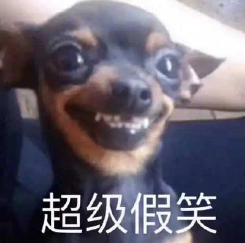 超搞笑狗狗表情包,赶紧收藏,手慢无