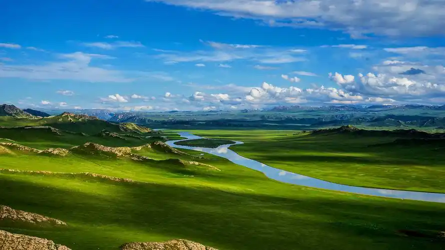 风景壁纸,风景,高清,草原,绿色护眼,自然风光,壁纸,1920x1080