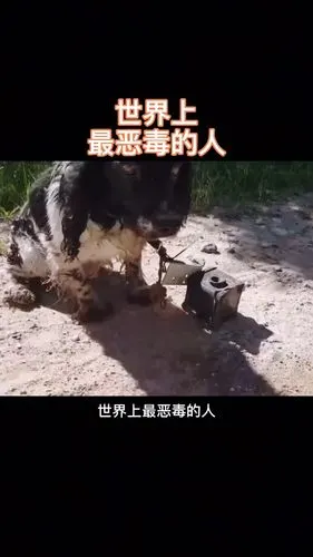 世界之最世界上最恶毒的人