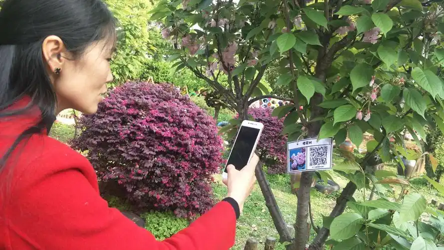 【一起扫一扫我的新名片吧!】——固城幼儿园植物名片全新升级