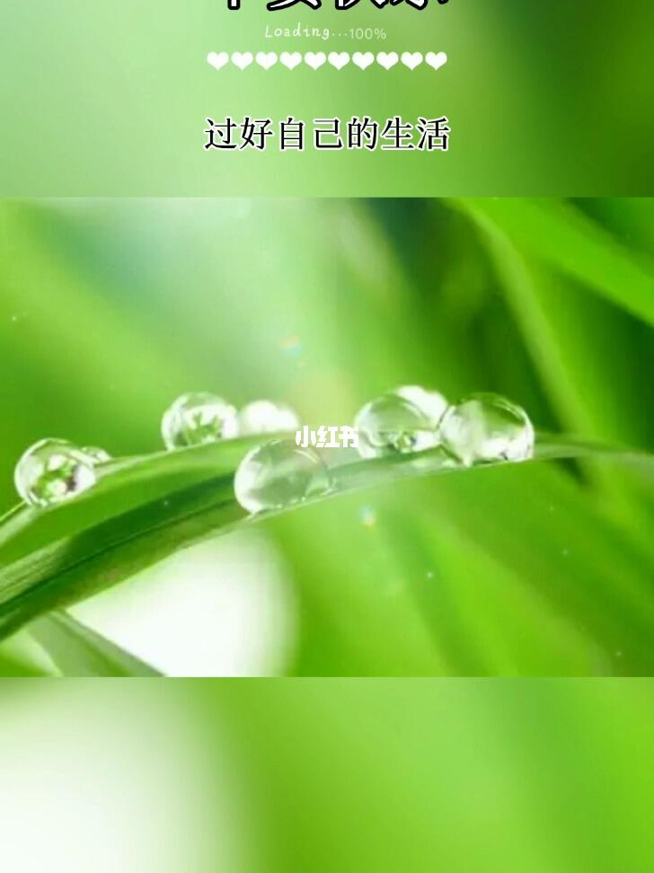 善良的人总是快乐